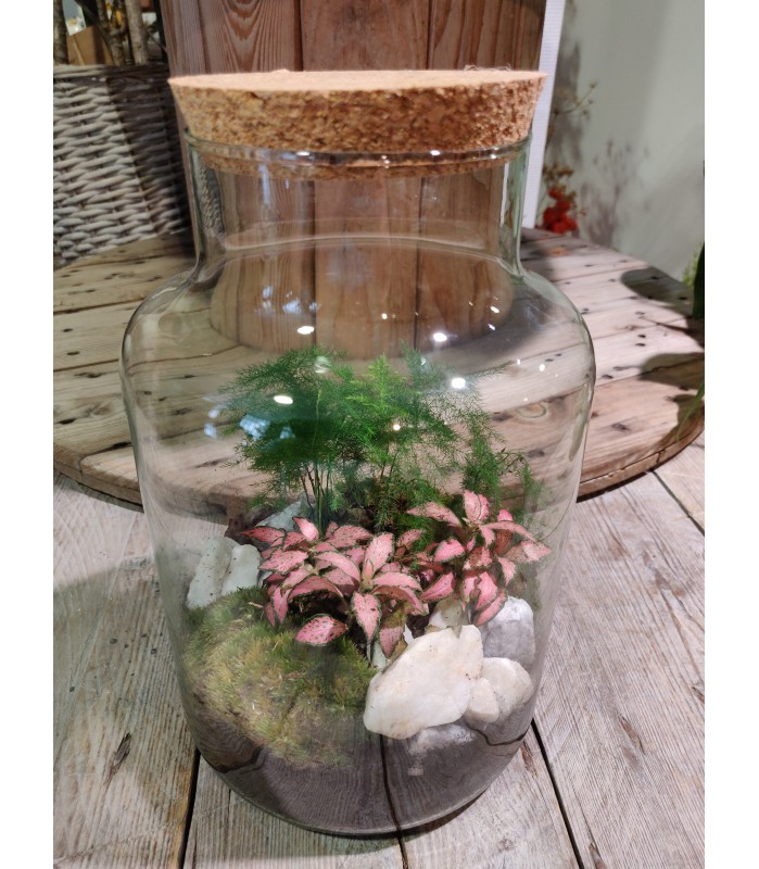 Terrarium bouchon liège avec 2 plantes L'Atelier d'Amélie L'ATELIER